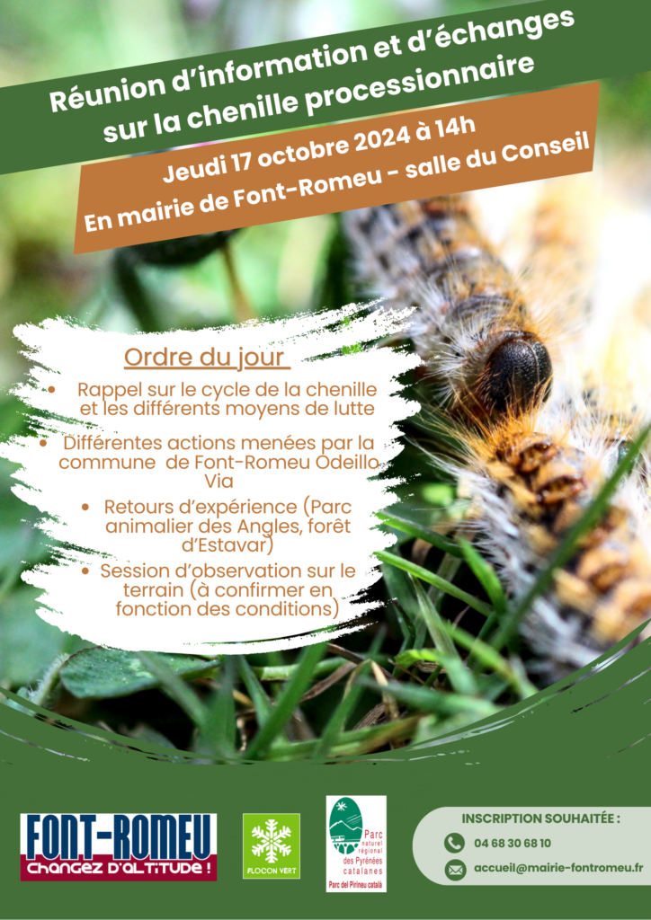 Affiche Chenilles Processionnaires 250924